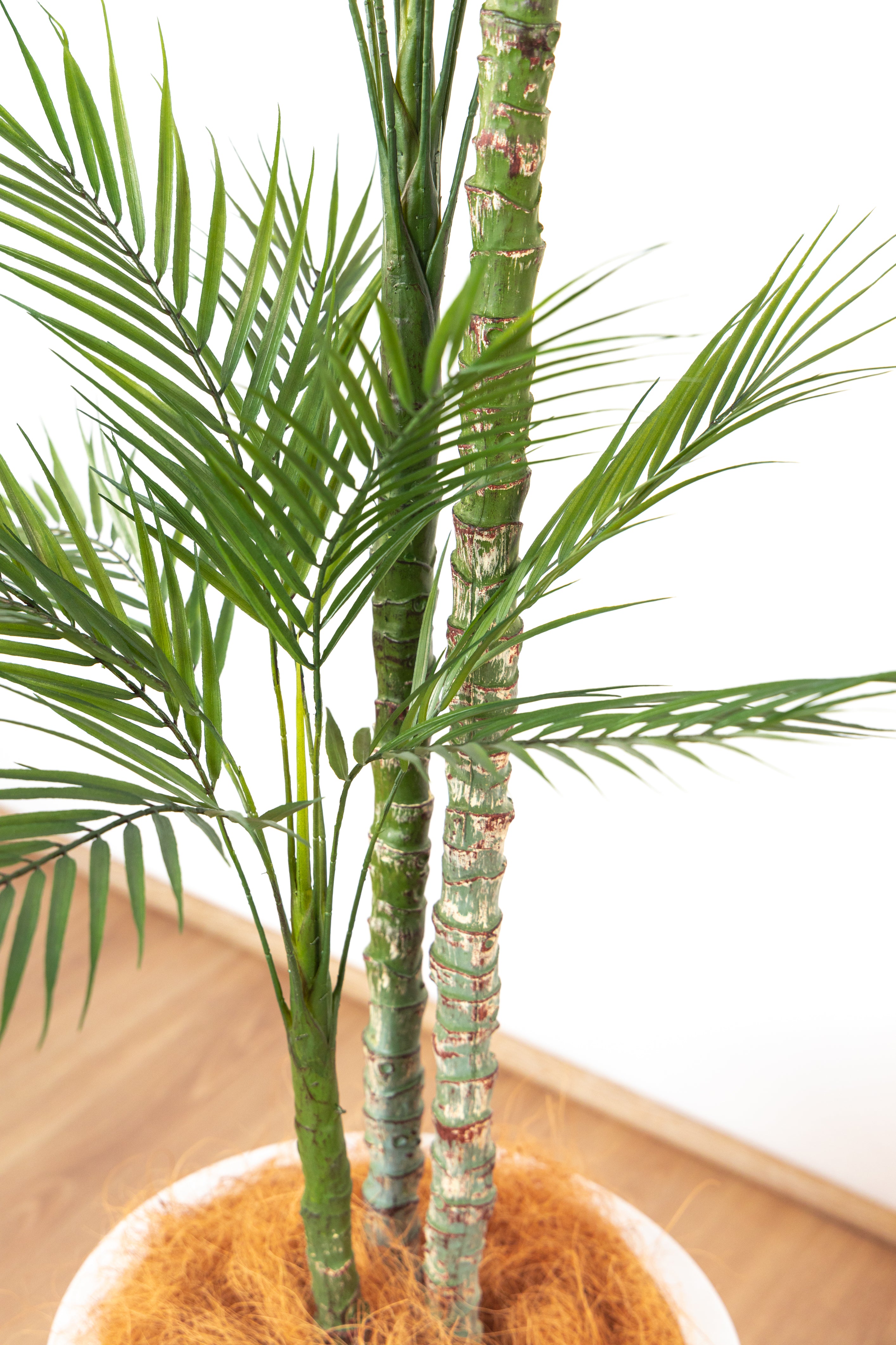 5 Creative Ways to Use Artificial Palm Trees in Your Home Decor