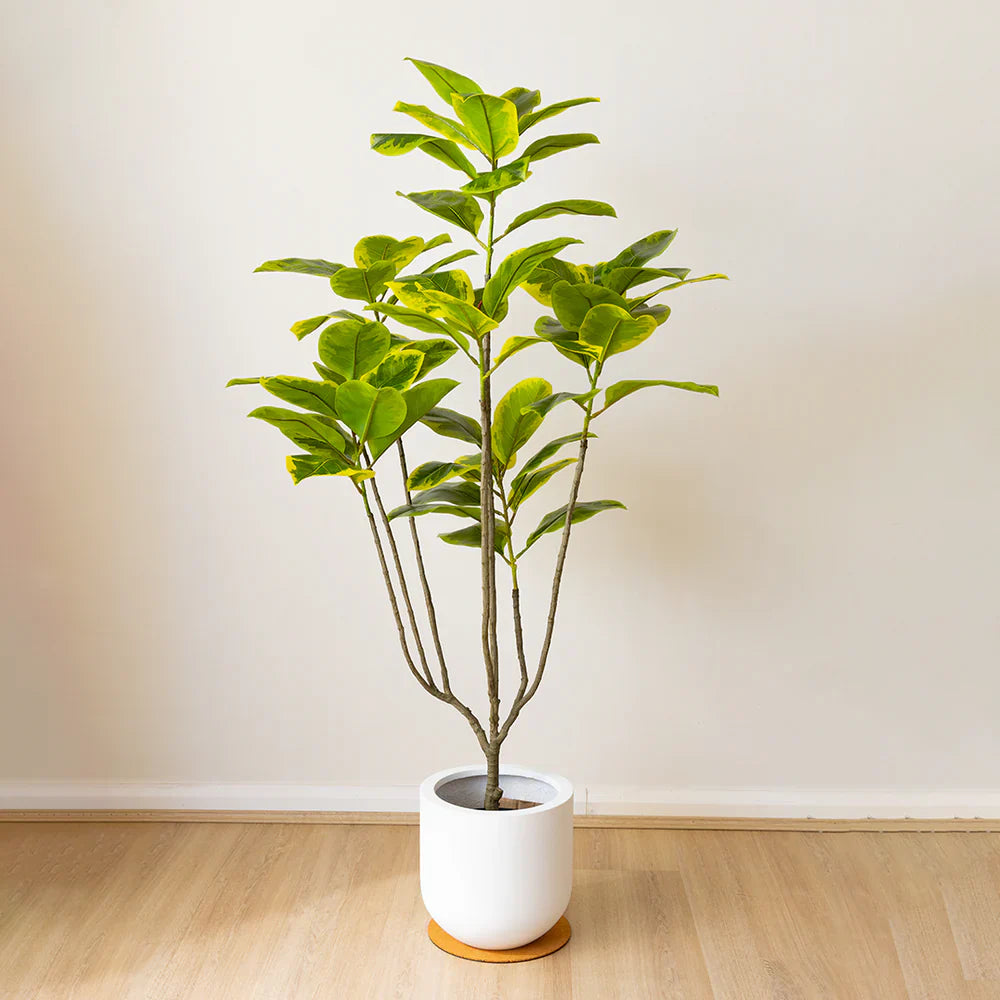 Bring Nature Indoors: Styling Tips for Artificial Fiddle Leaf Fig Trees