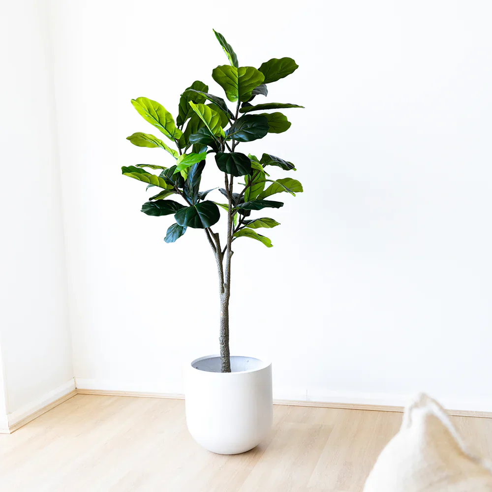 Top Interior Design Trends Featuring Artificial Fiddle Leaf Fig Trees