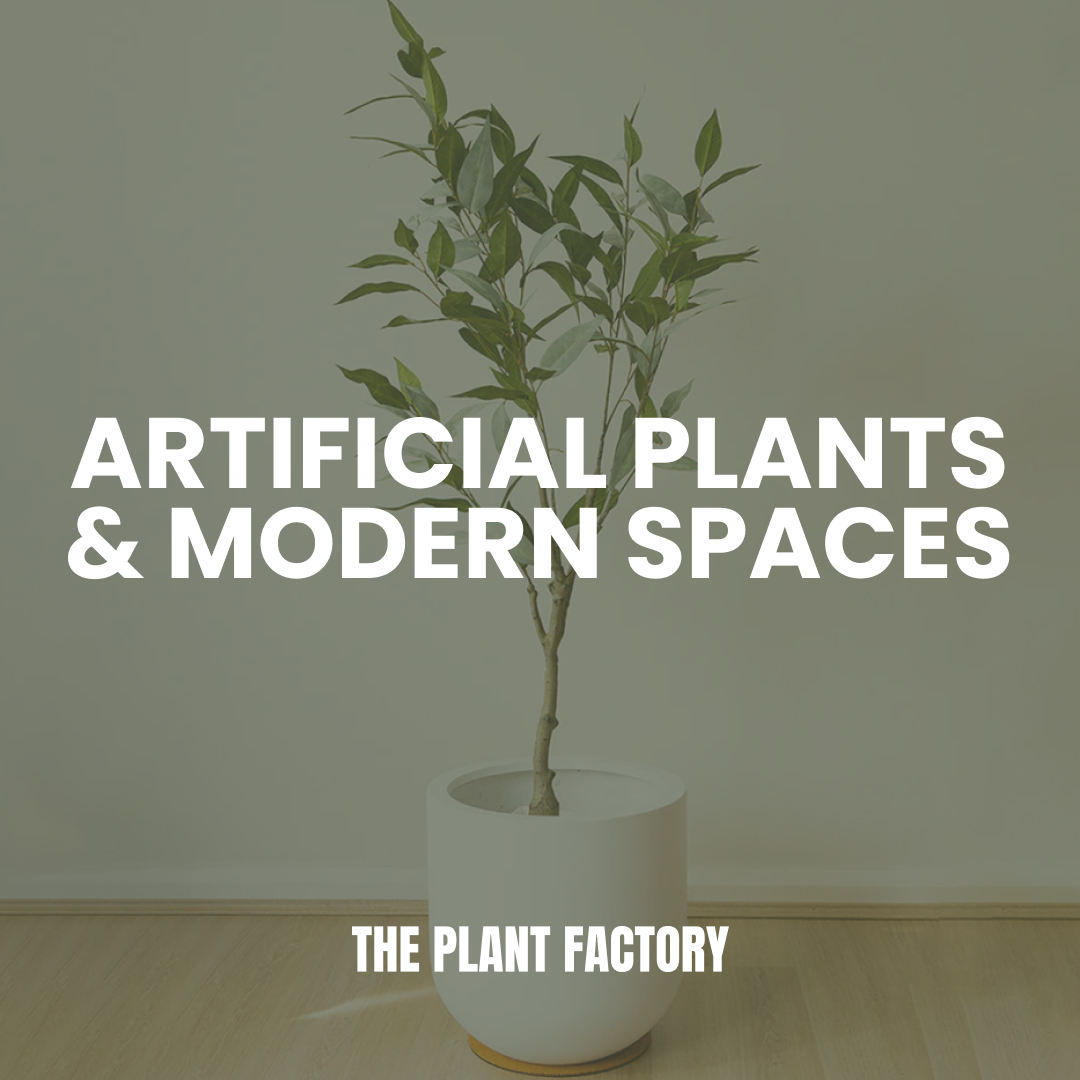 Creating Modern Spaces with Artificial Plants in 2024