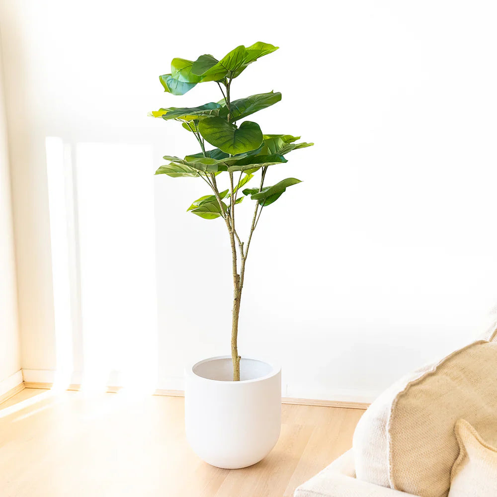 Artificial Fiddle Leaf Fig Trees: A Designer’s Favorite Décor Hack