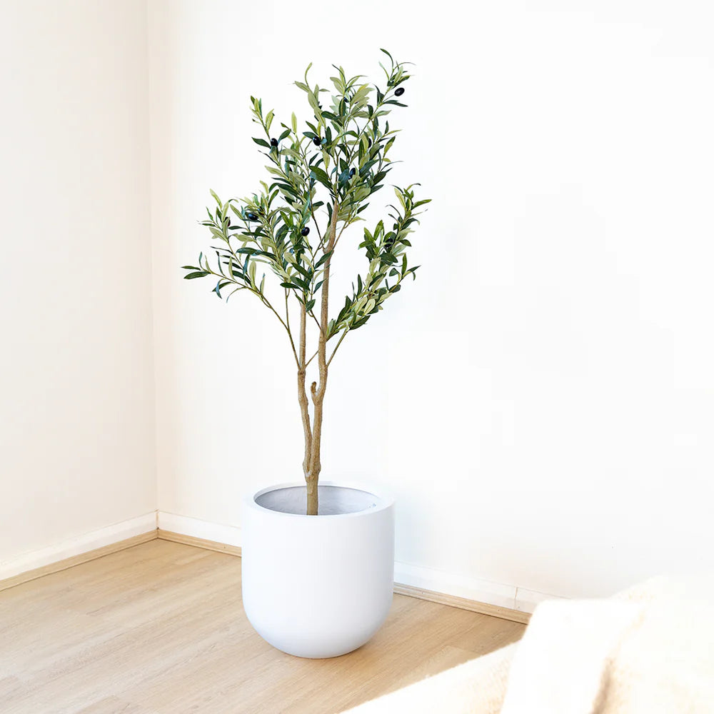 Bring Mediterranean Elegance to Your Home with Artificial Olive Trees from The Plant Factory