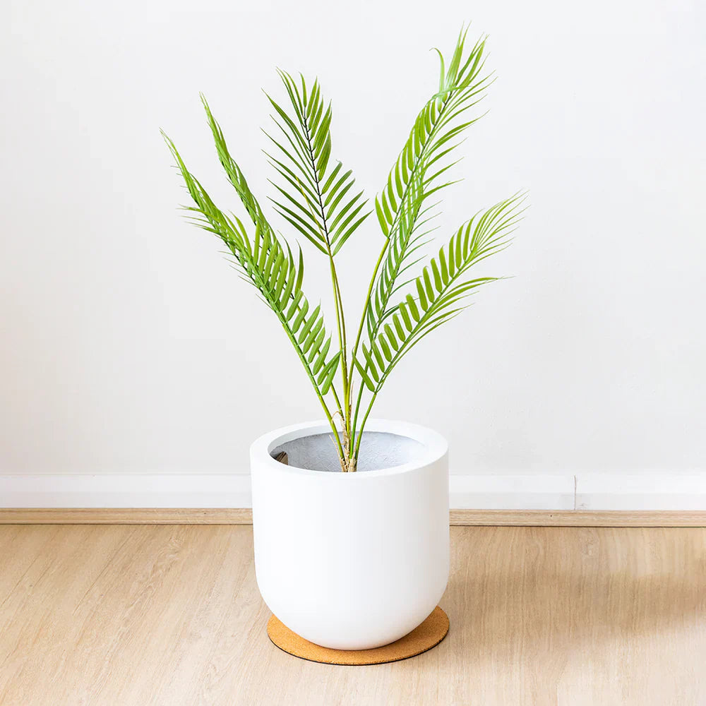 Why Artificial Palm Trees Are a Must-Have for Elegant Home Decor