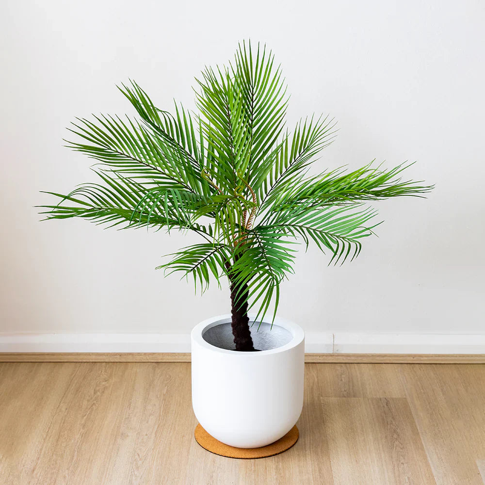 Bring Tropical Vibes Indoors with Lifelike Artificial Palm Trees