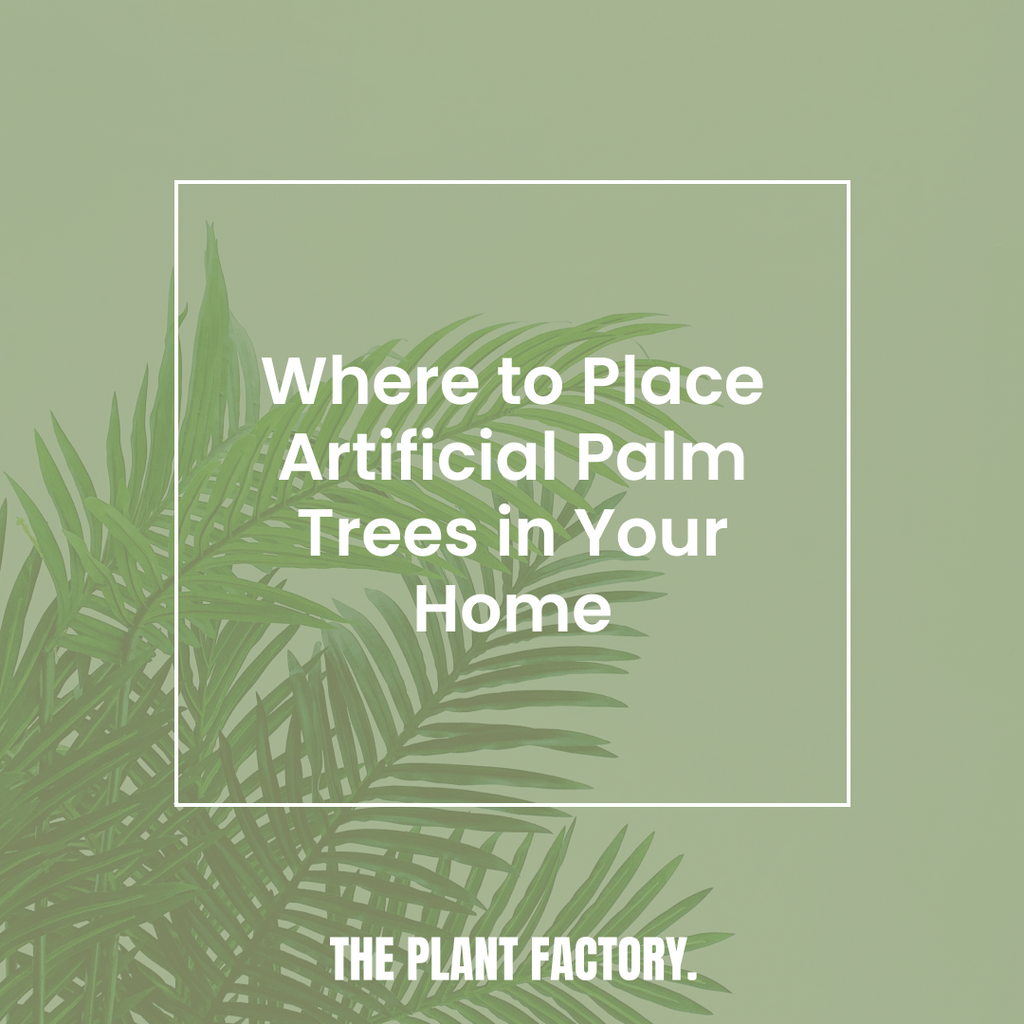 Where to Place Artificial Palm Trees in Your Home