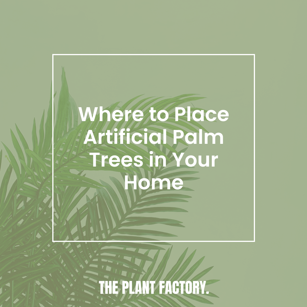 Where to Place Artificial Palm Trees in Your Home