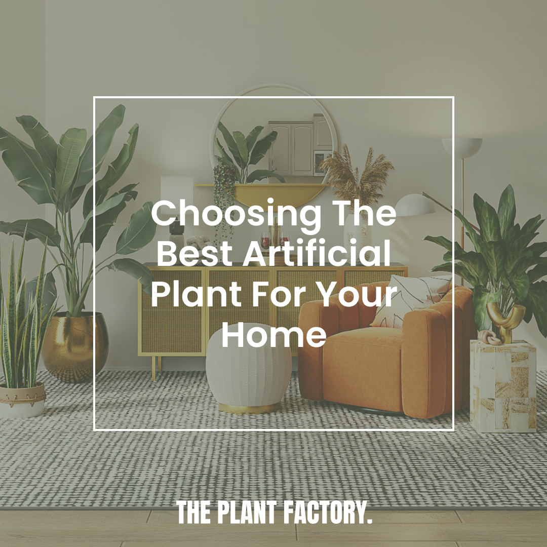 Choosing the best artificial plant for your home