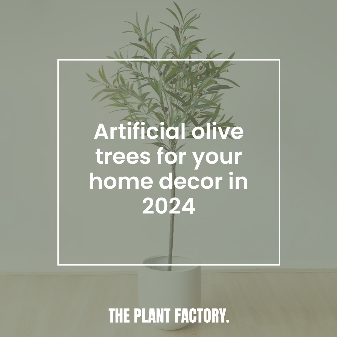 Why You Need an Artificial Olive Tree in Your Home in 2024