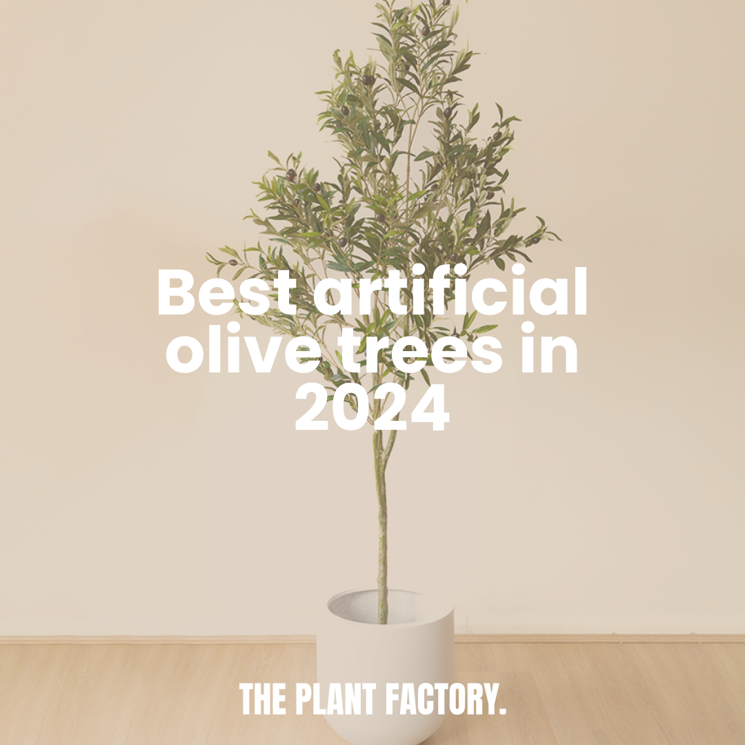 Best Artificial Olive Trees for Home Decor in 2024