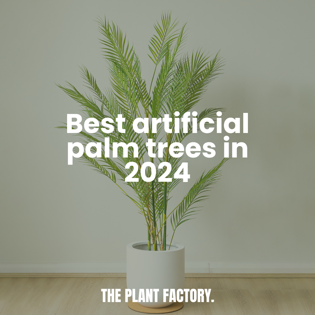 Best artificial palm trees in 2024