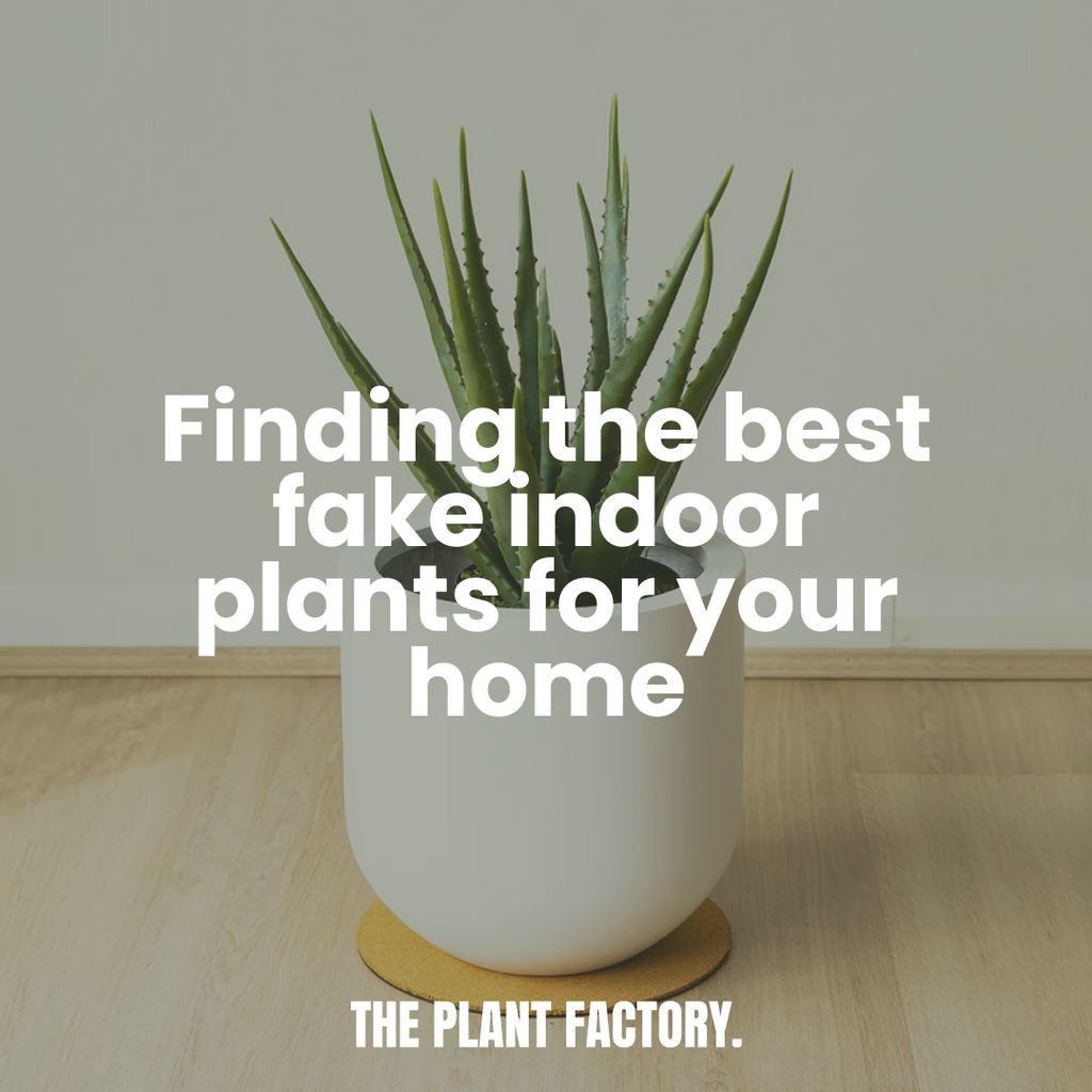 Finding the best fake indoor plants for your home decor in 2024