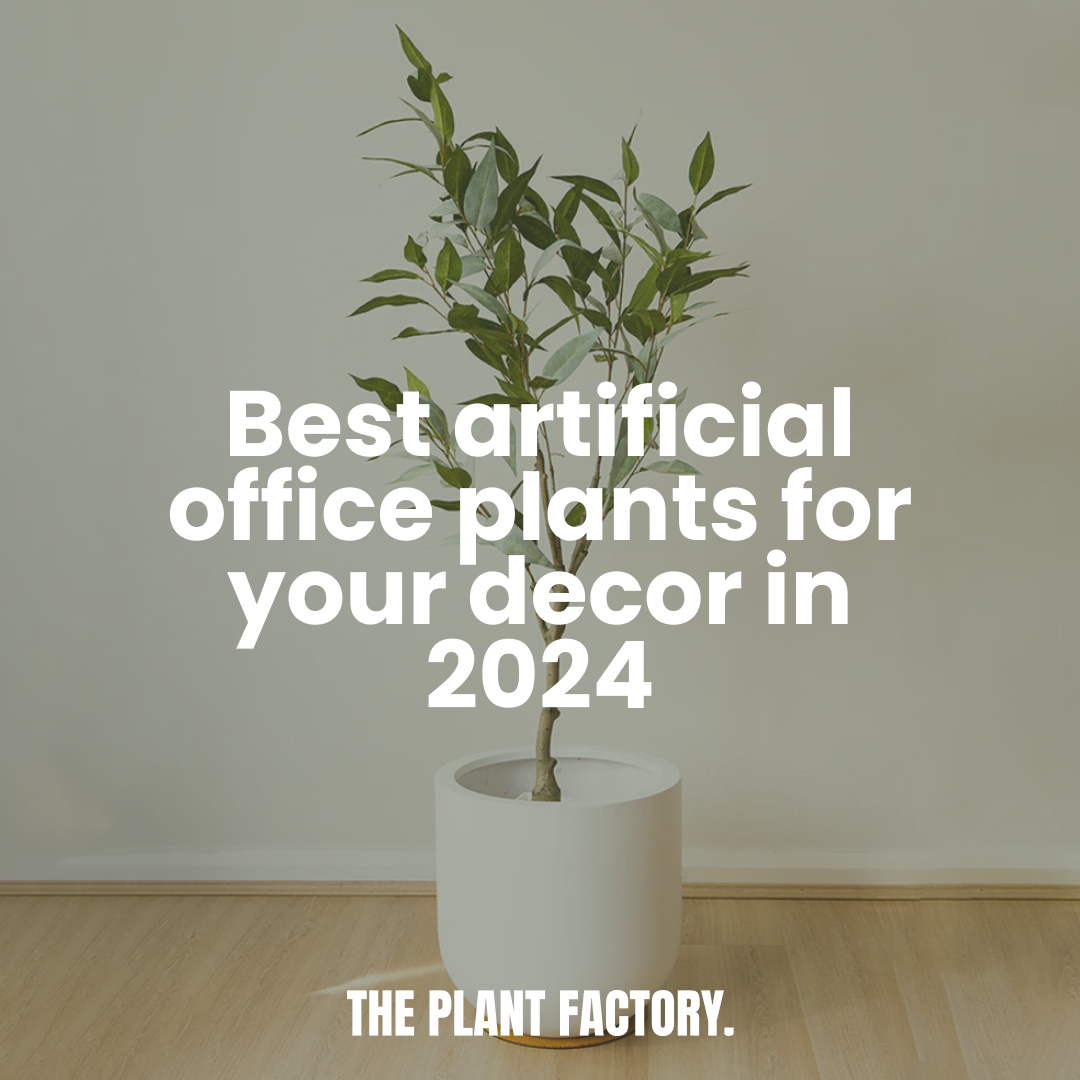 Best Ways to Style Artificial Office Plants in 2024