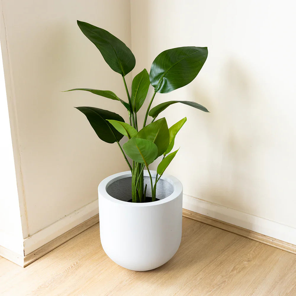 Artificial Plants vs. Real Plants: Why Faux Greenery Is the Smart Choice for Home Decor