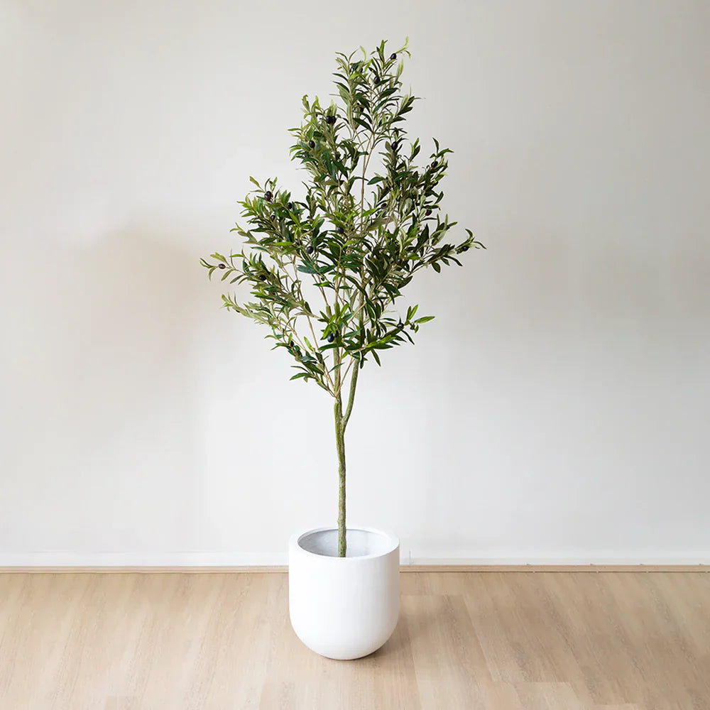 Style Your Space with Lifelike Artificial Olive Trees from The Plant Factory