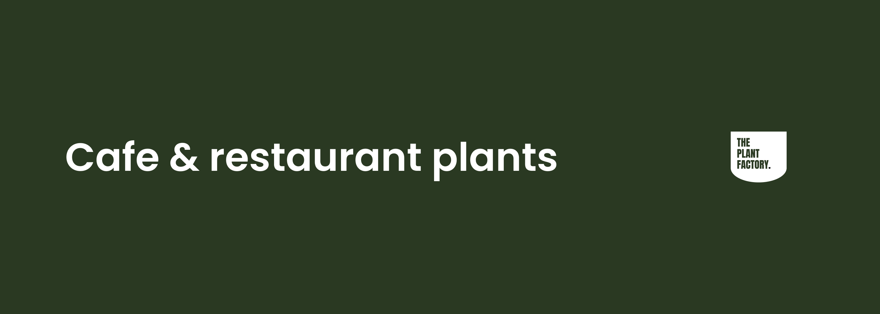 Cafe & restaurant plants