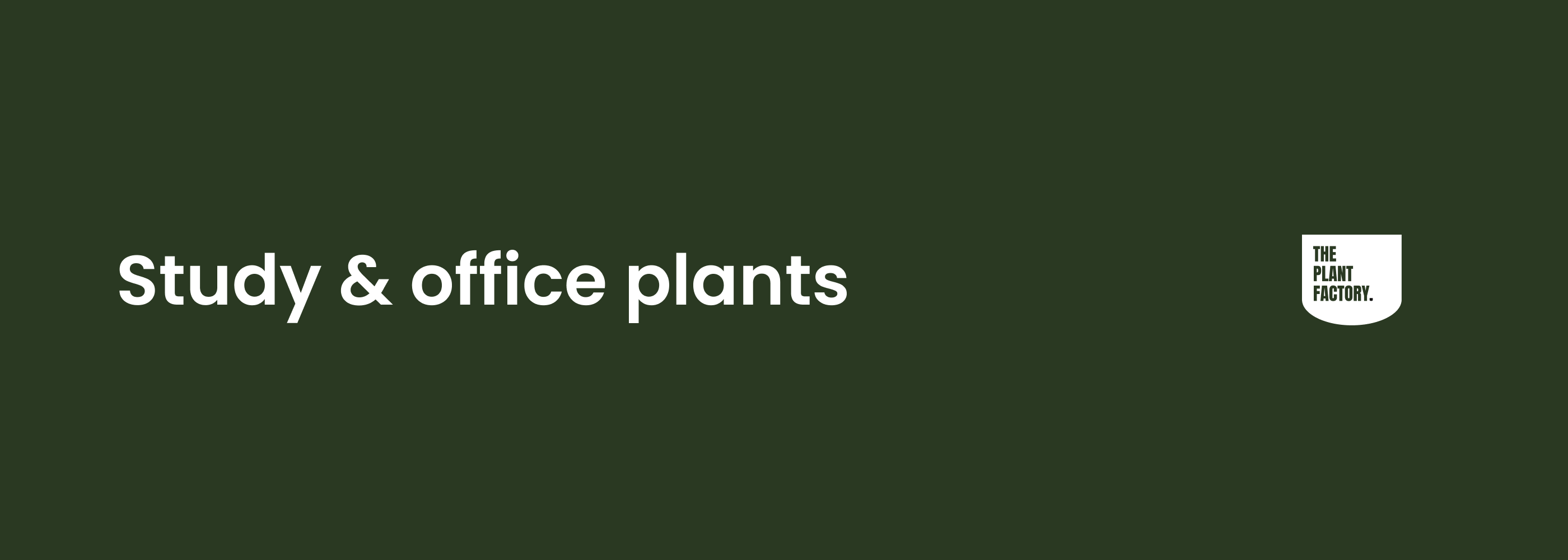 Artificial Office plants