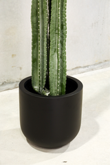 109cm Artificial Cactus