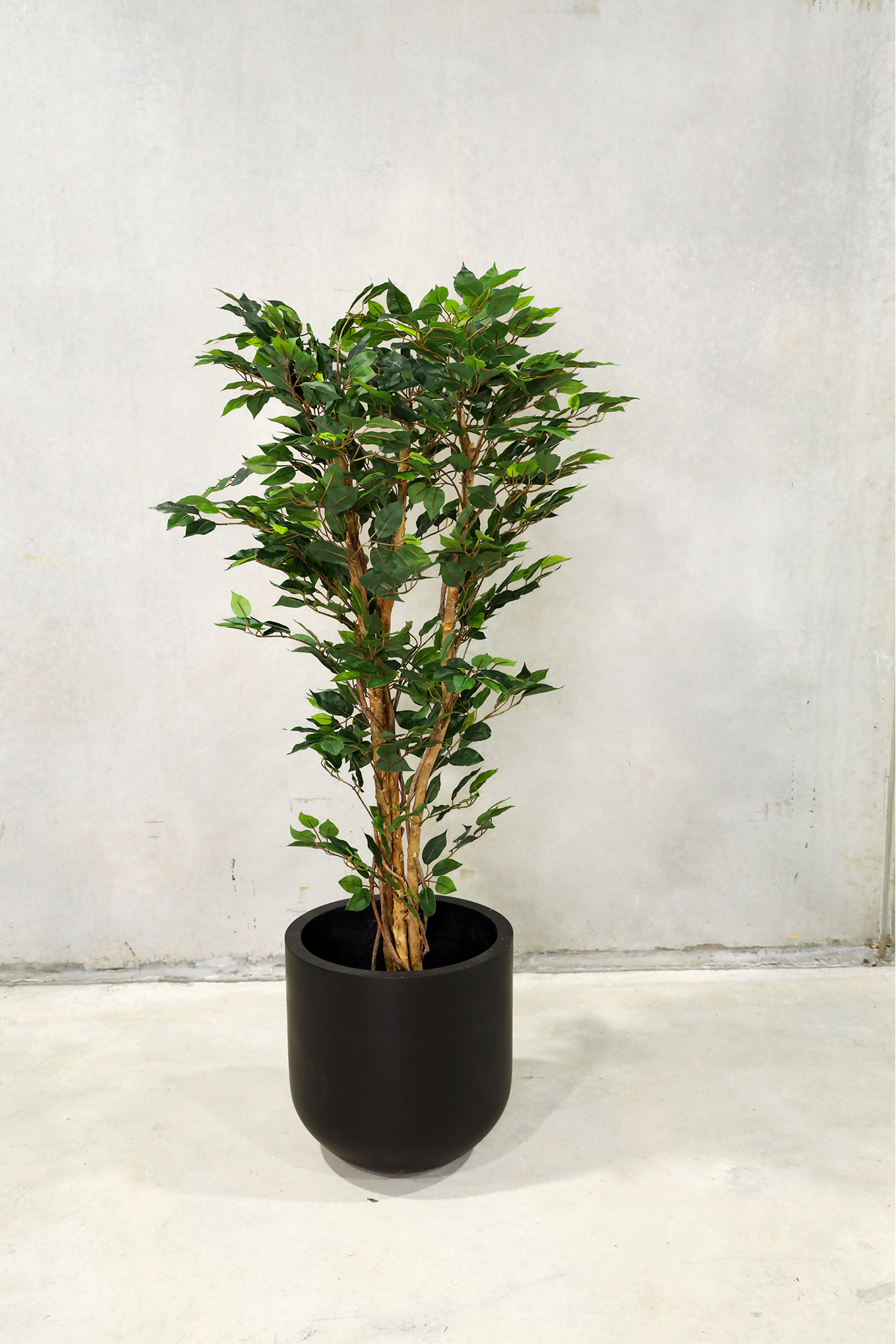 150cm Potted Artificial Ficus Tree