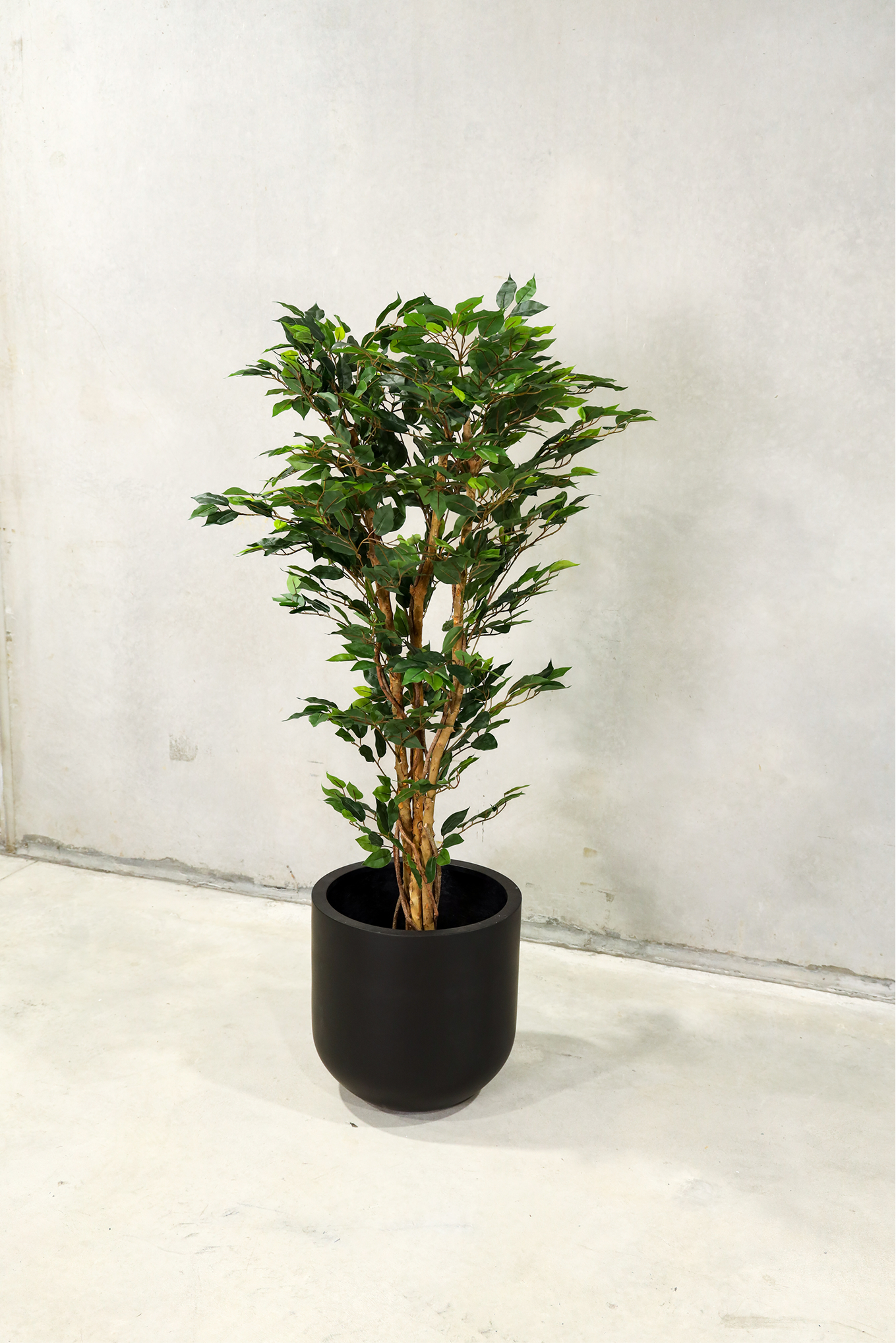 150cm Potted Artificial Ficus Tree