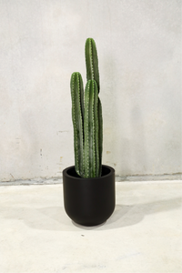 109cm Artificial Cactus