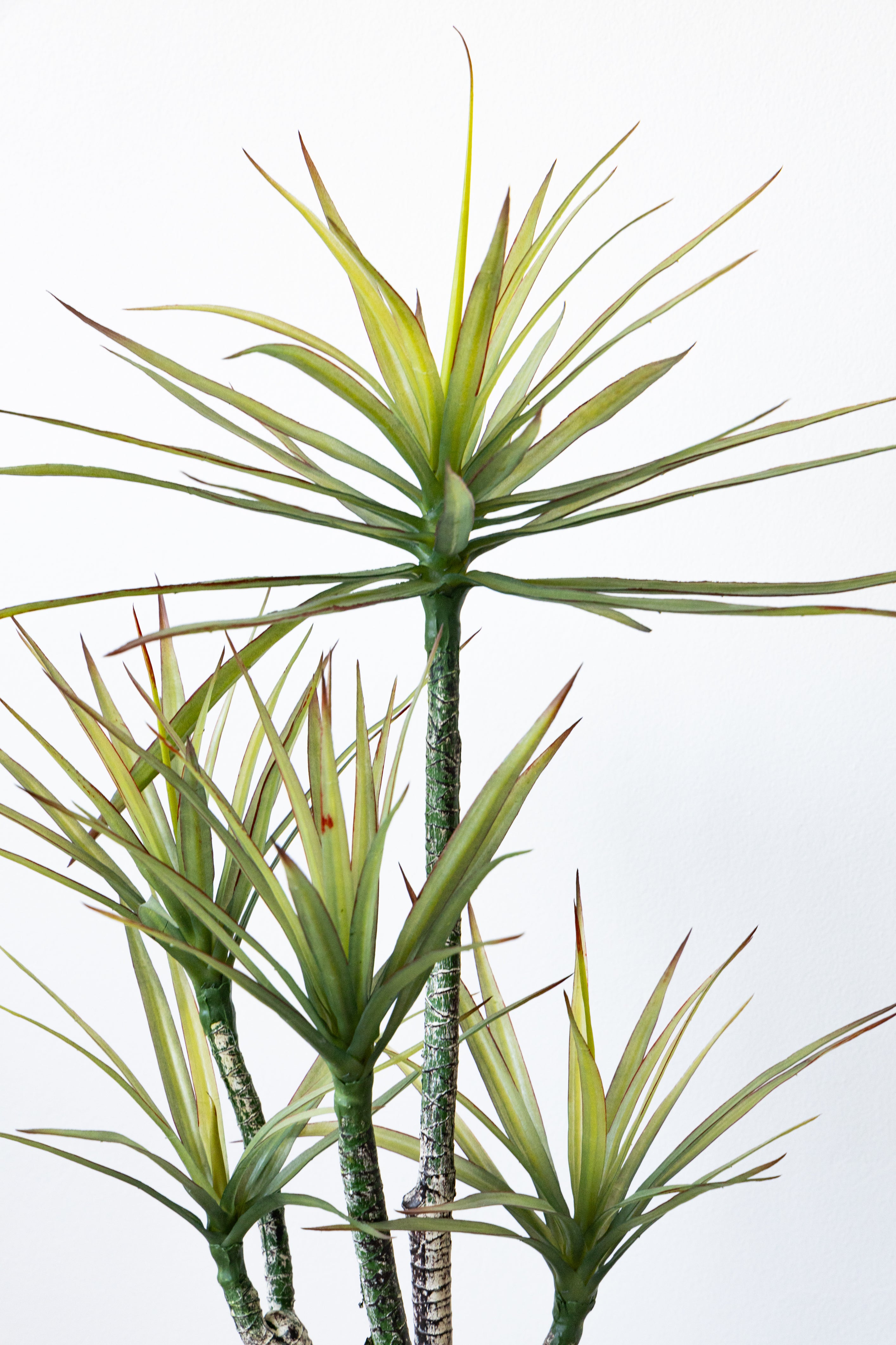 120cm Artificial Dracaena