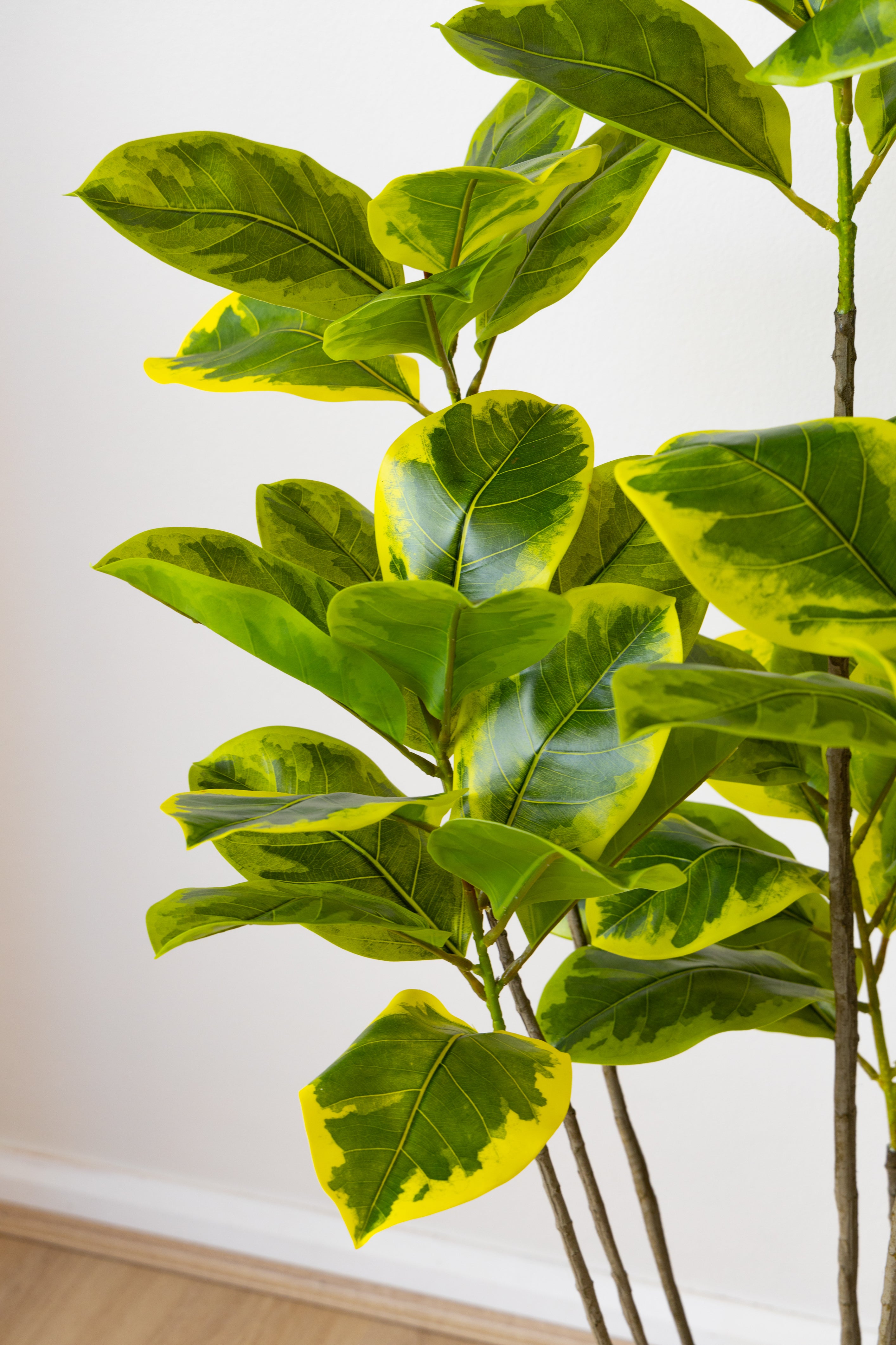 185cm Artificial Fiddle Leaf