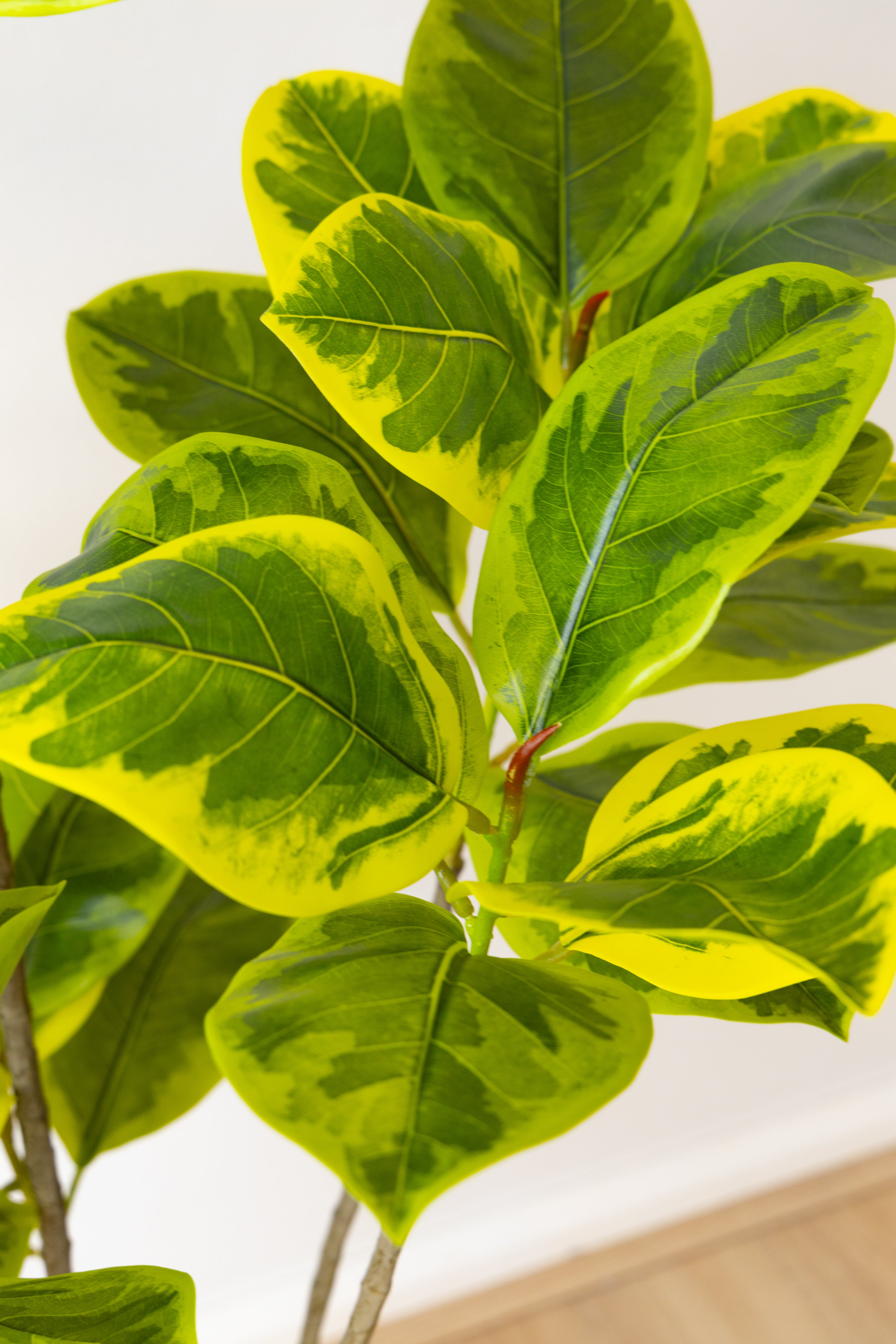 185cm Artificial Fiddle Leaf