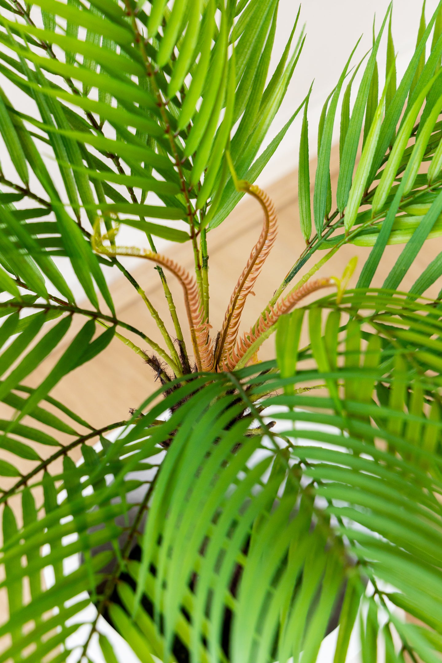 91cm Artificial Fan Palm