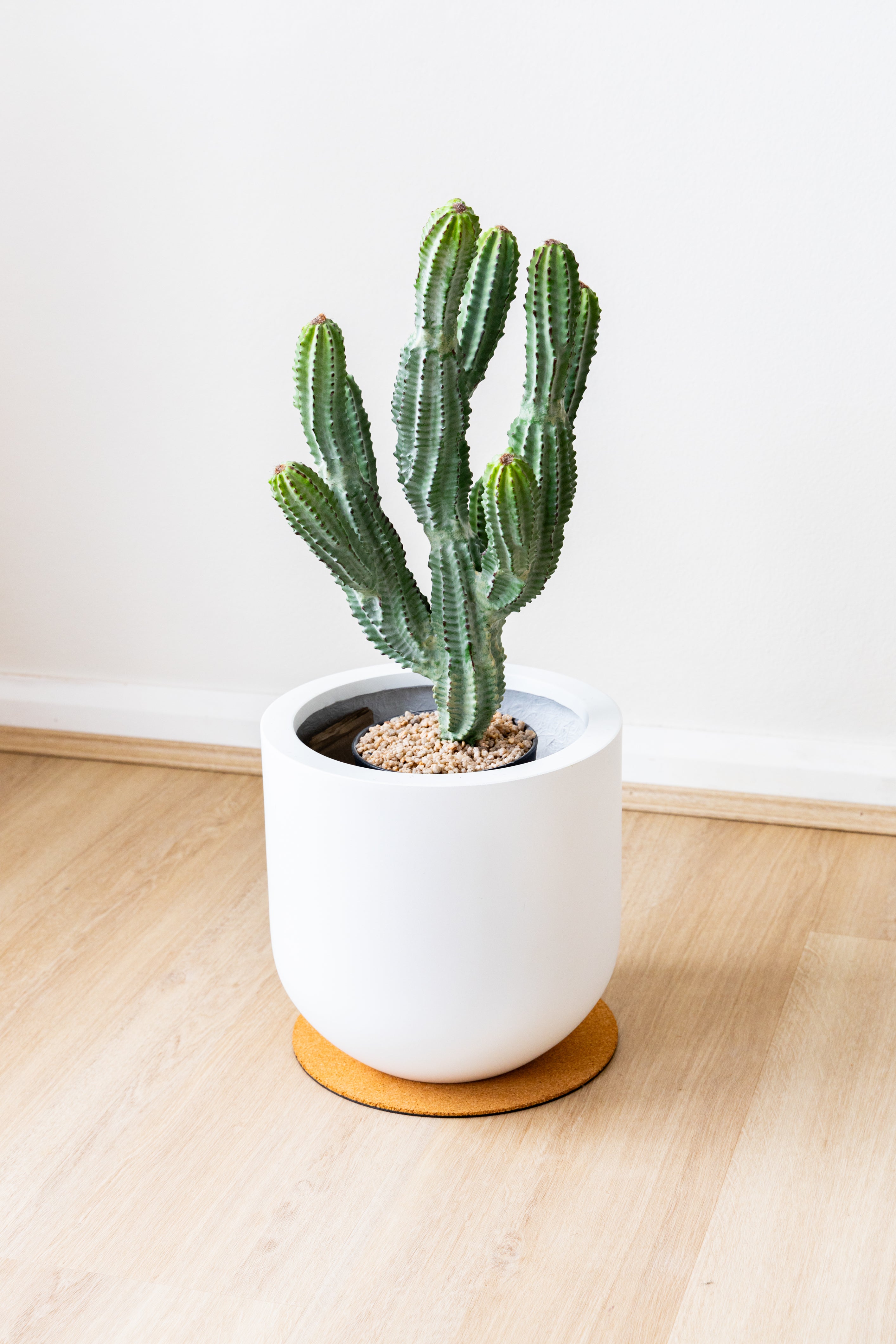 55cm Artificial Cactus