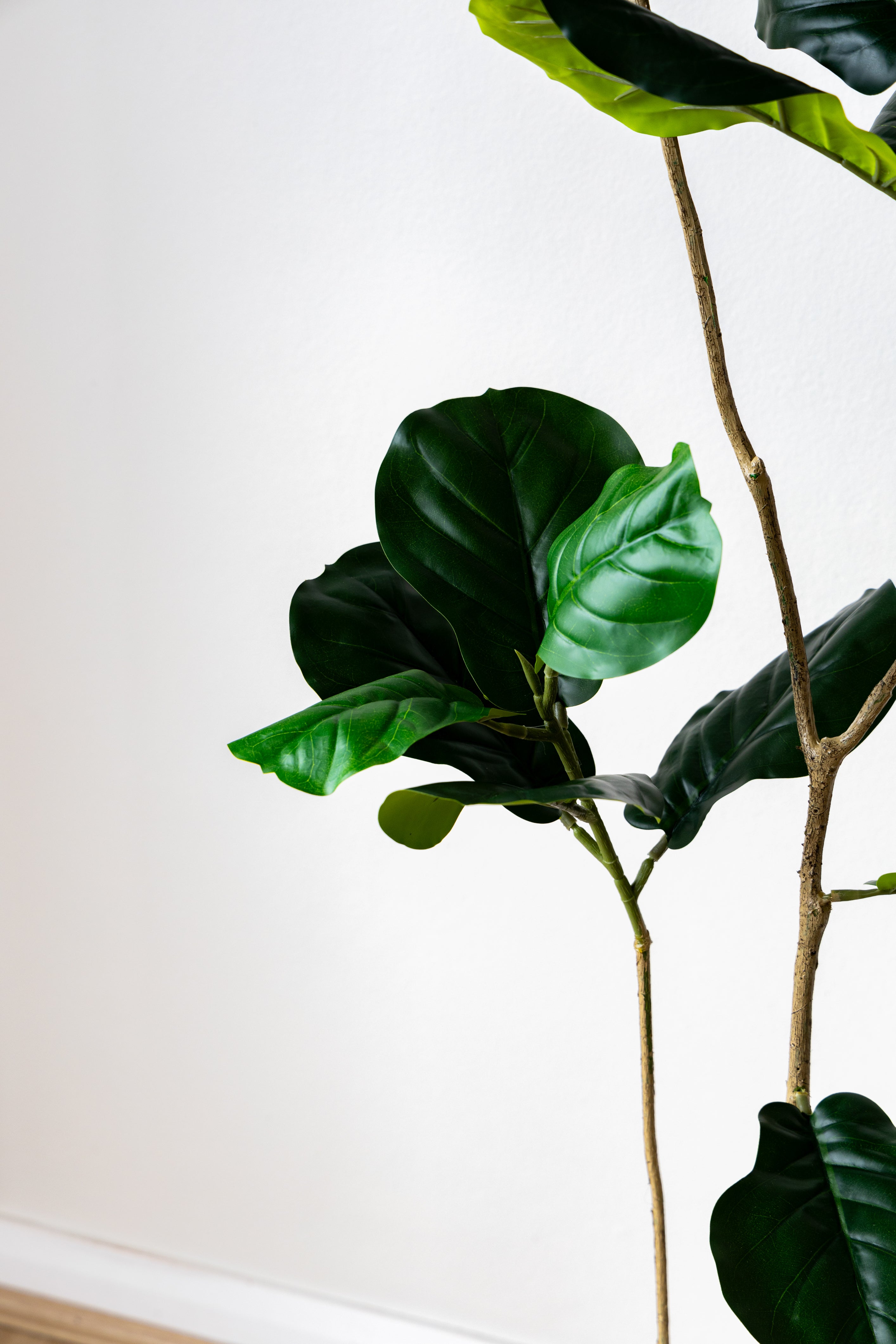 134cm Artificial Fiddle Leaf