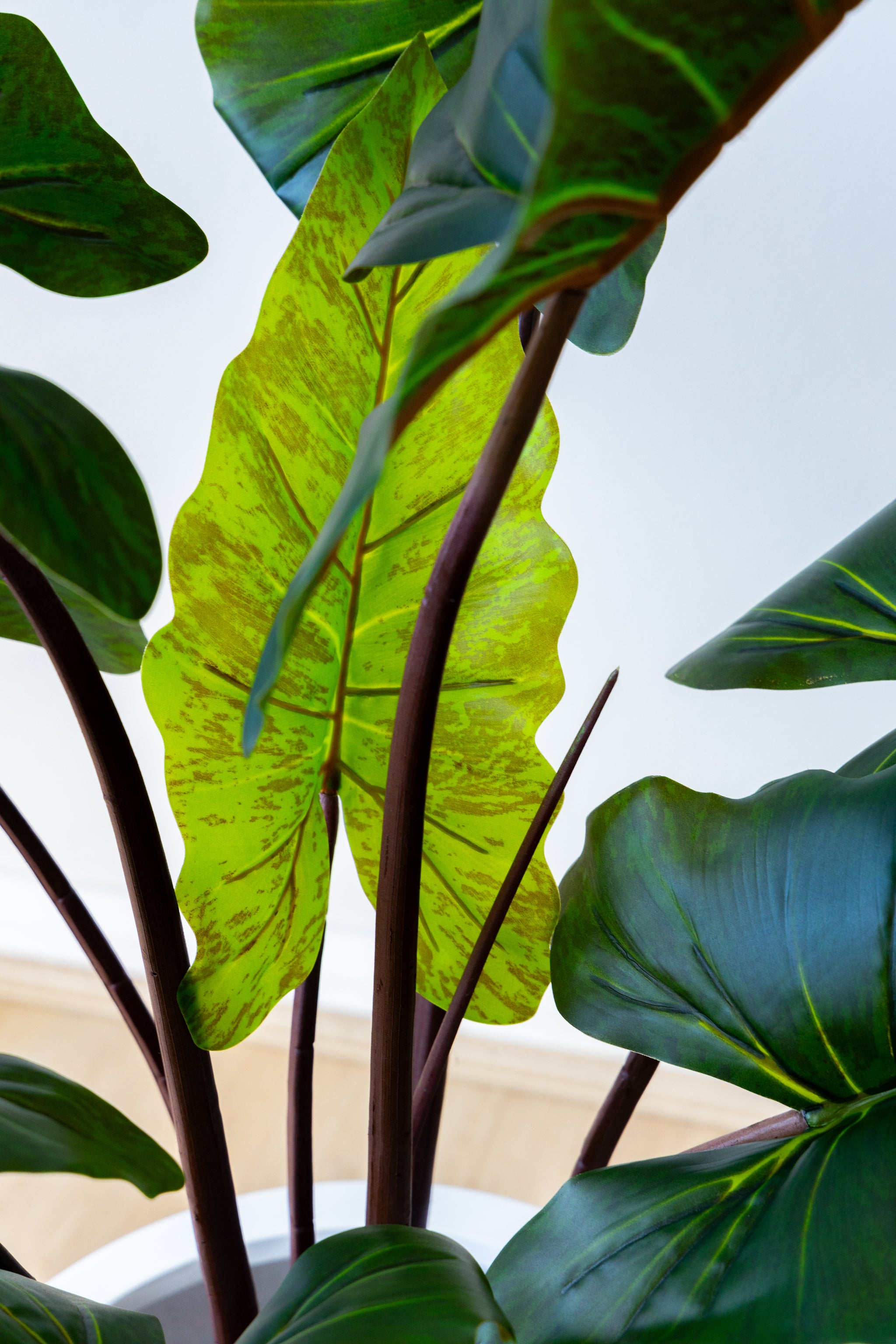 85cm Artificial Colocasia