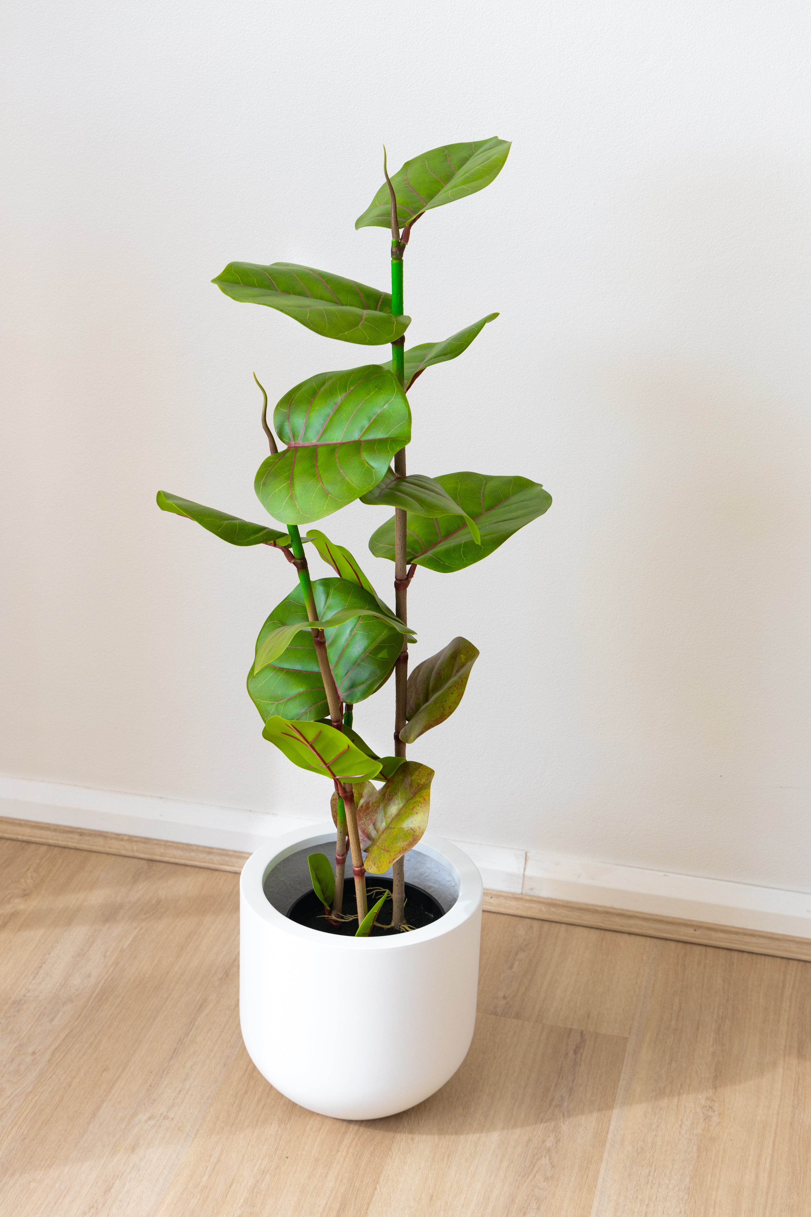 100cm Artificial Fig Tree