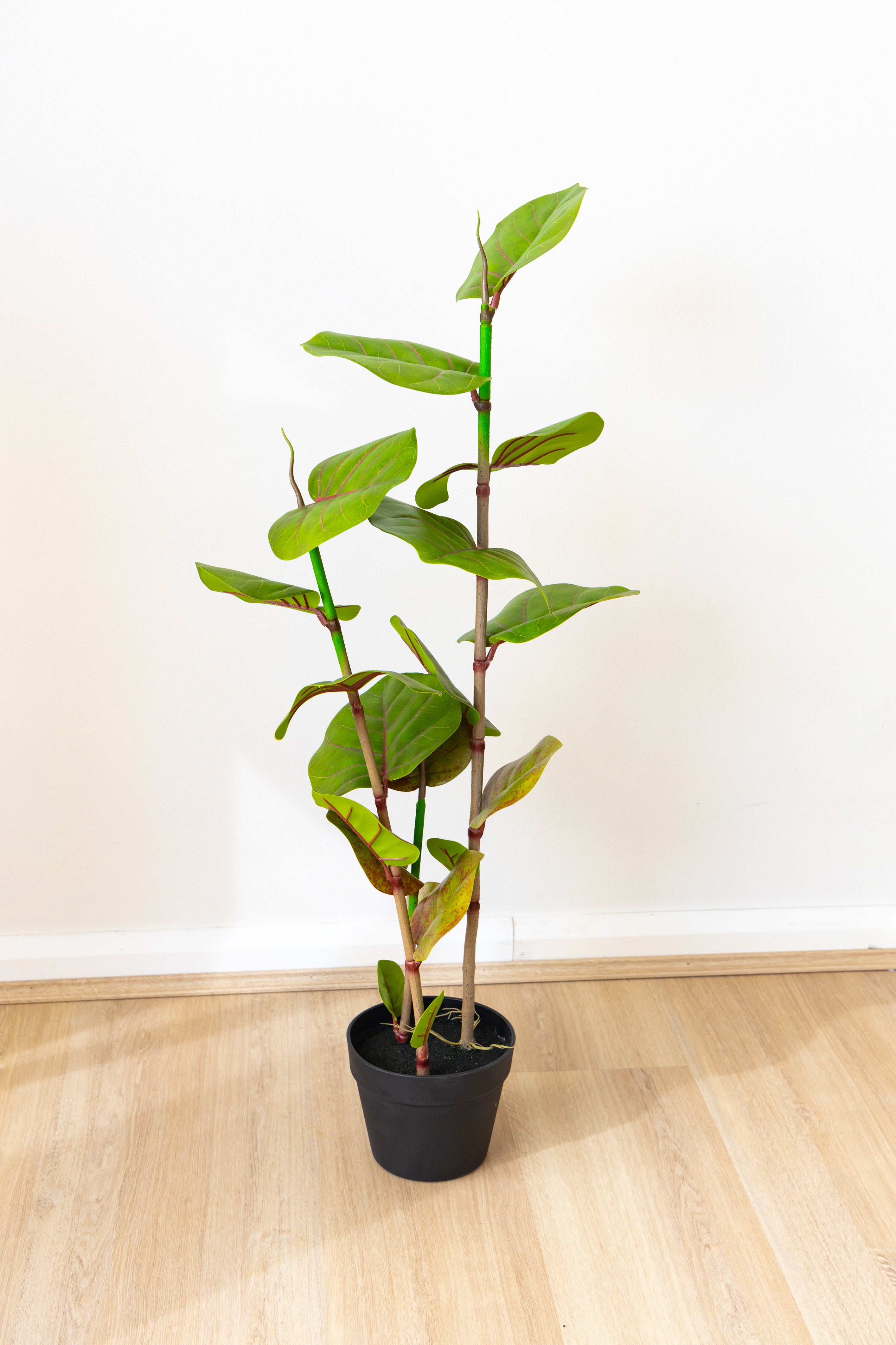 100cm Artificial Fig Tree