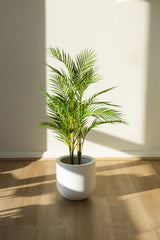 105cm Artificial Palm Tree