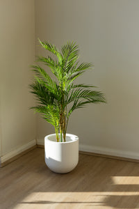 105cm Artificial Palm Tree