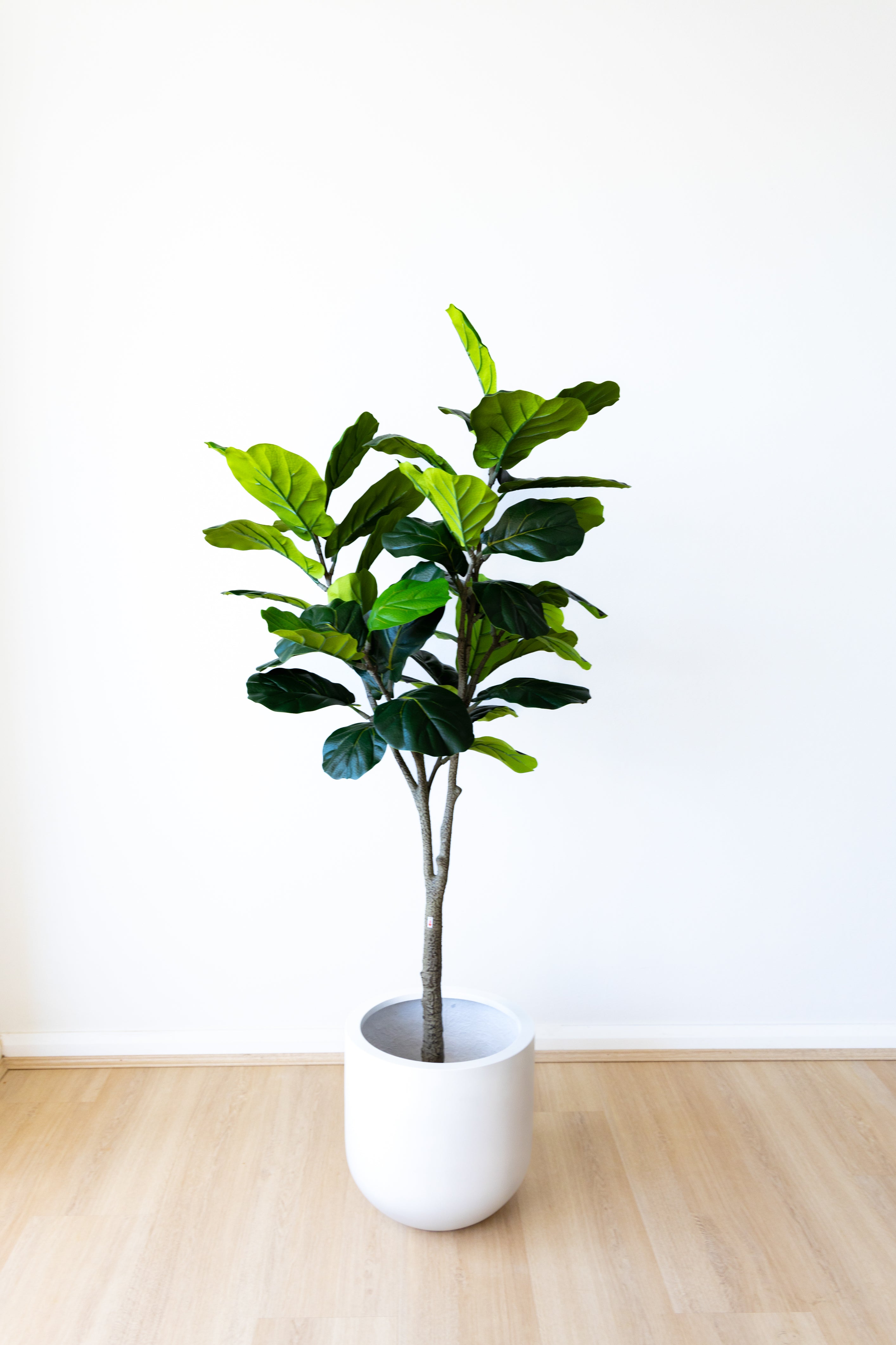 150cm Artificial Fiddle Leaf