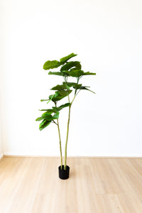 158cm Artificial Ficus