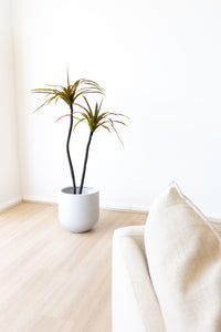 140cm Artificial Dracaena