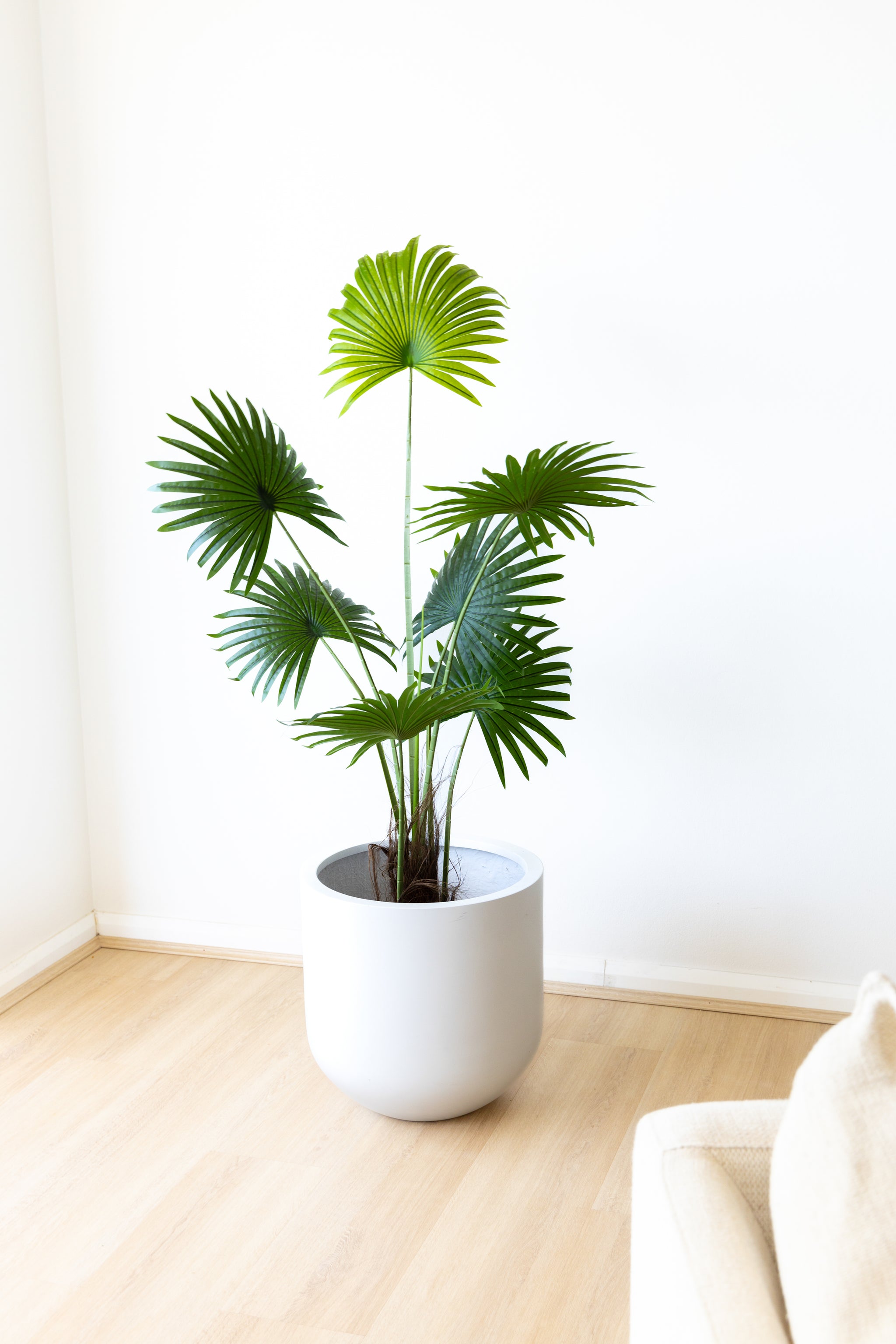 155cm Artificial Fan Palm Tree