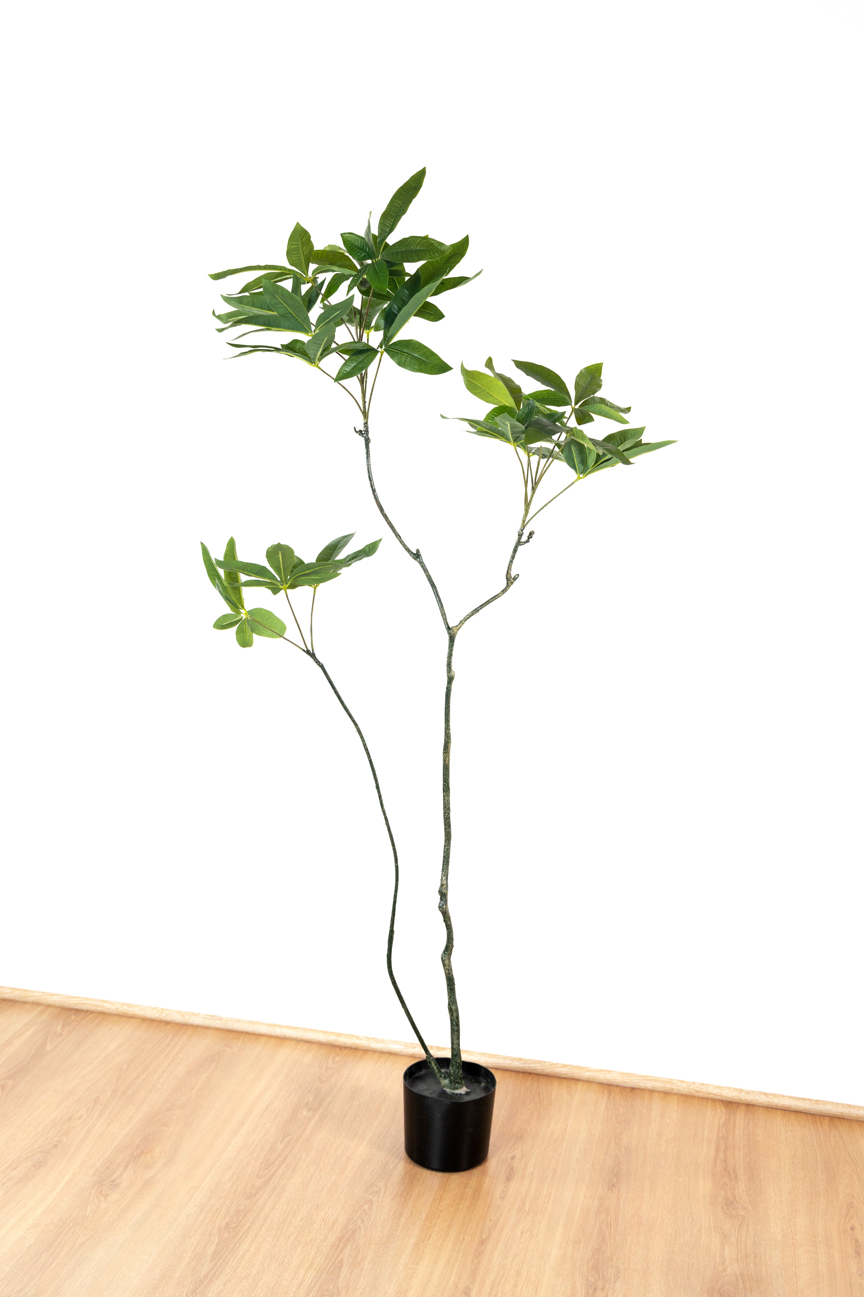 170cm Artificial Money Tree