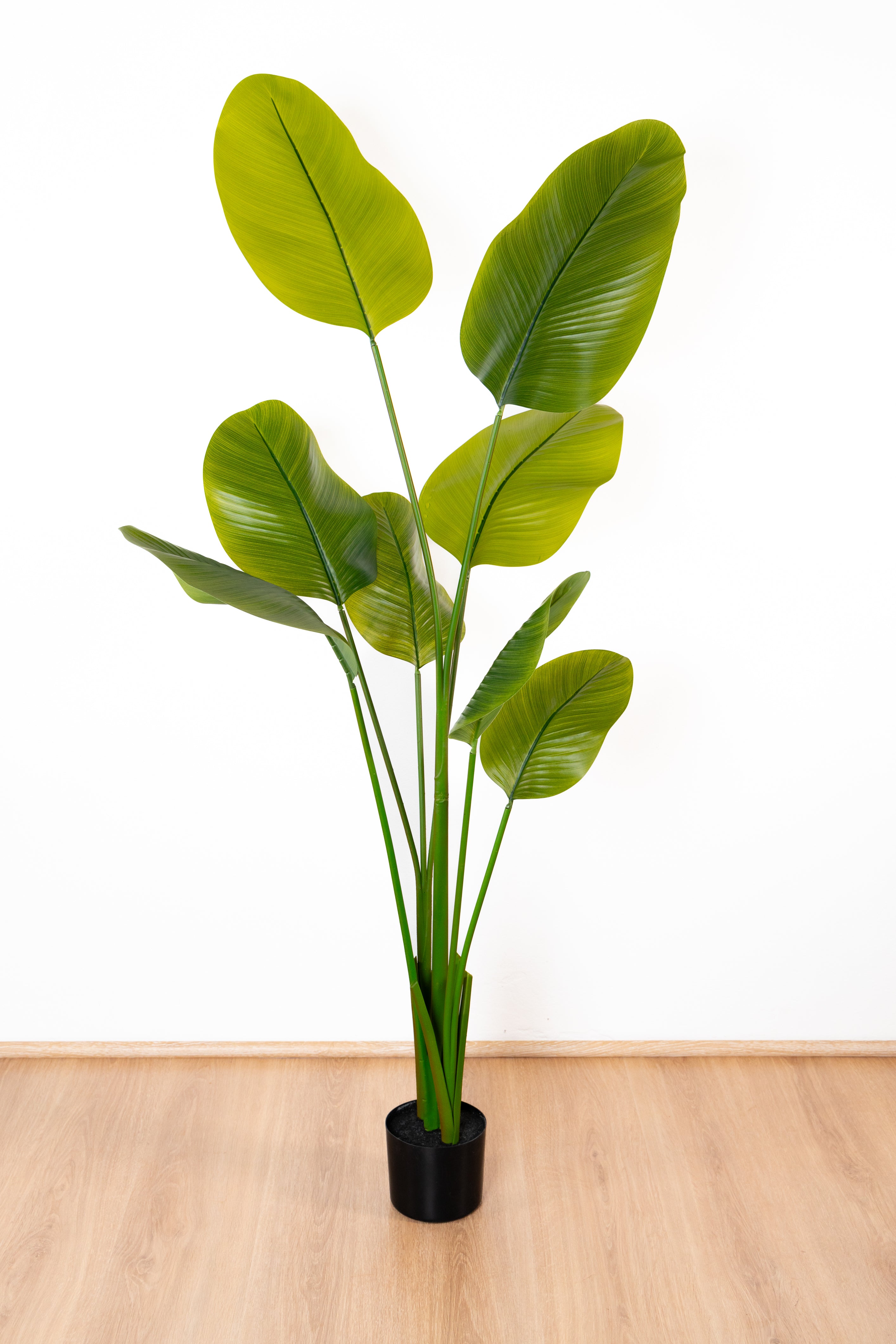 160cm Artificial Strelitzia Nicolai