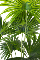 155cm Artificial Fan Palm Tree