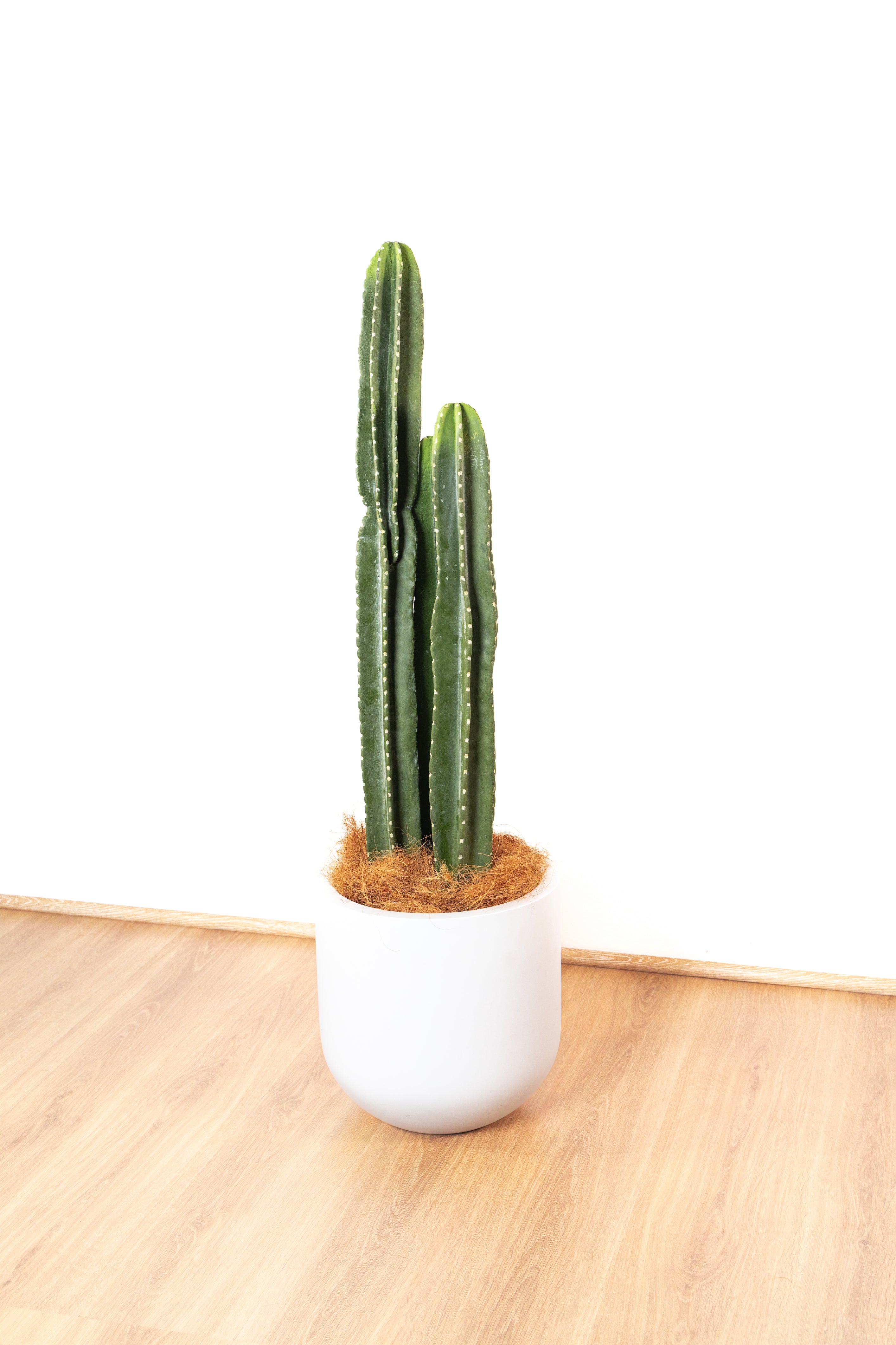 109cm Artificial Cactus