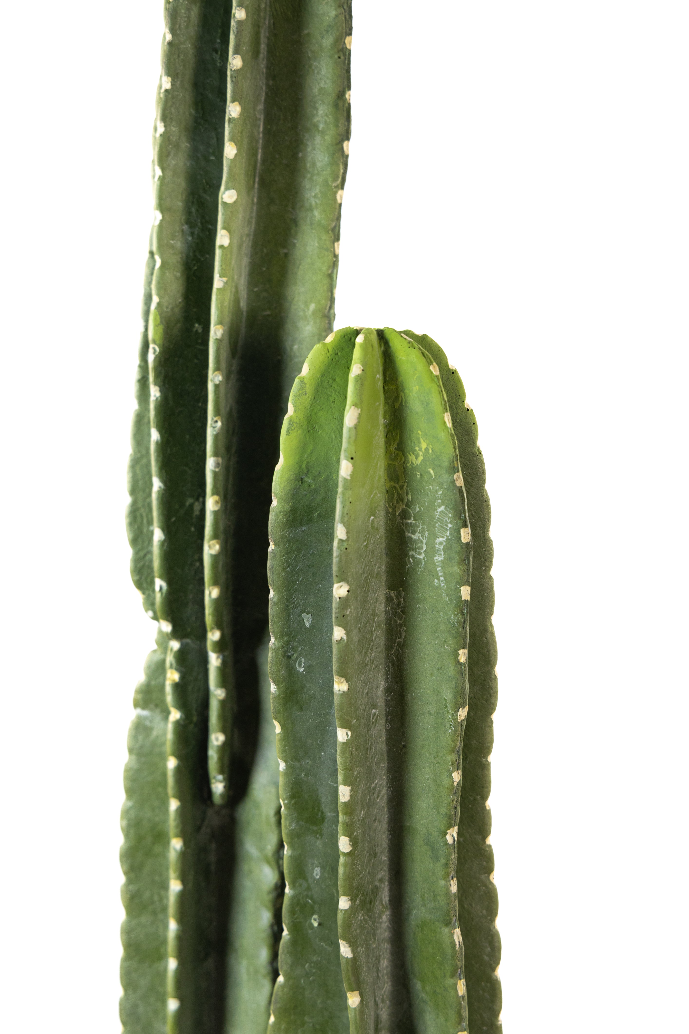 109cm Artificial Cactus