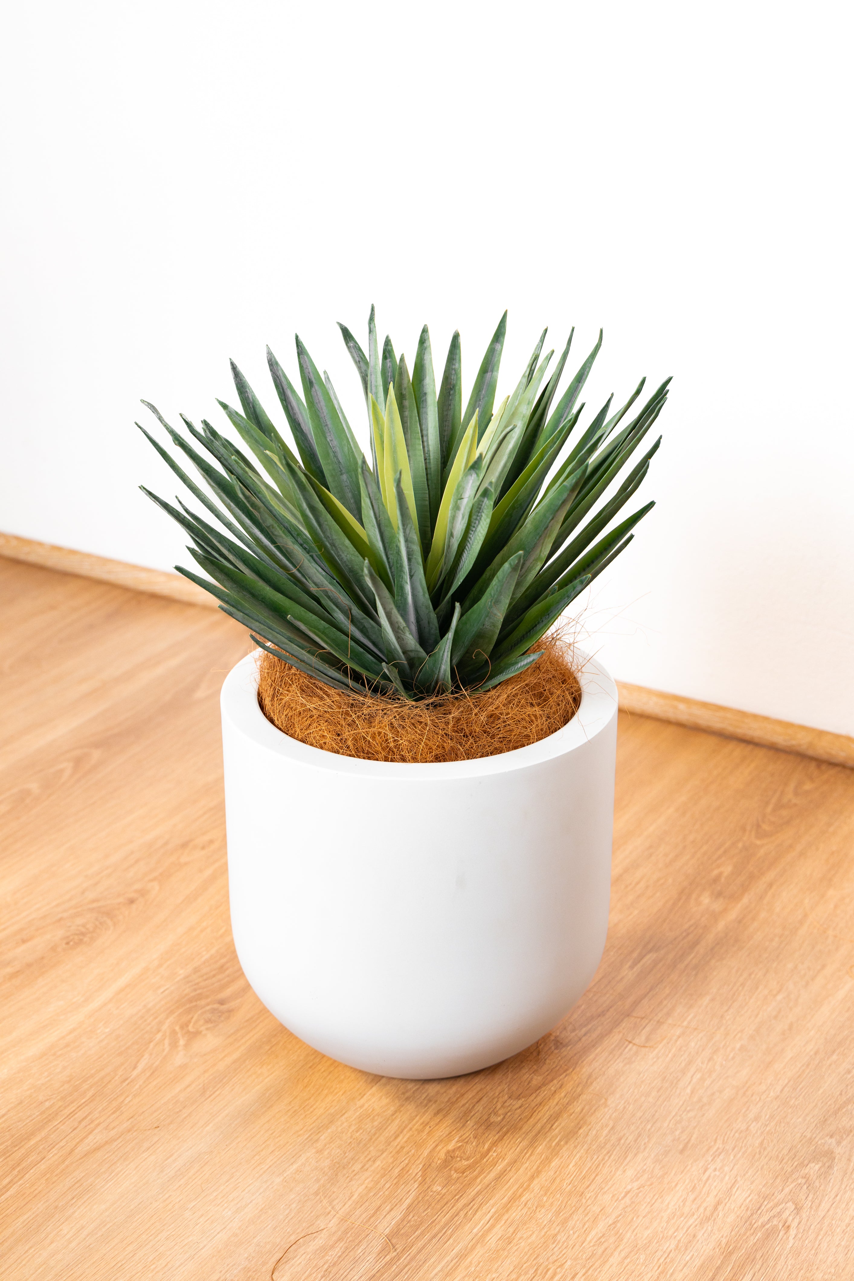 Artificial Sisal plant