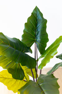 85cm Artificial Colocasia