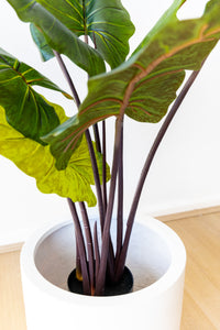 85cm Artificial Colocasia