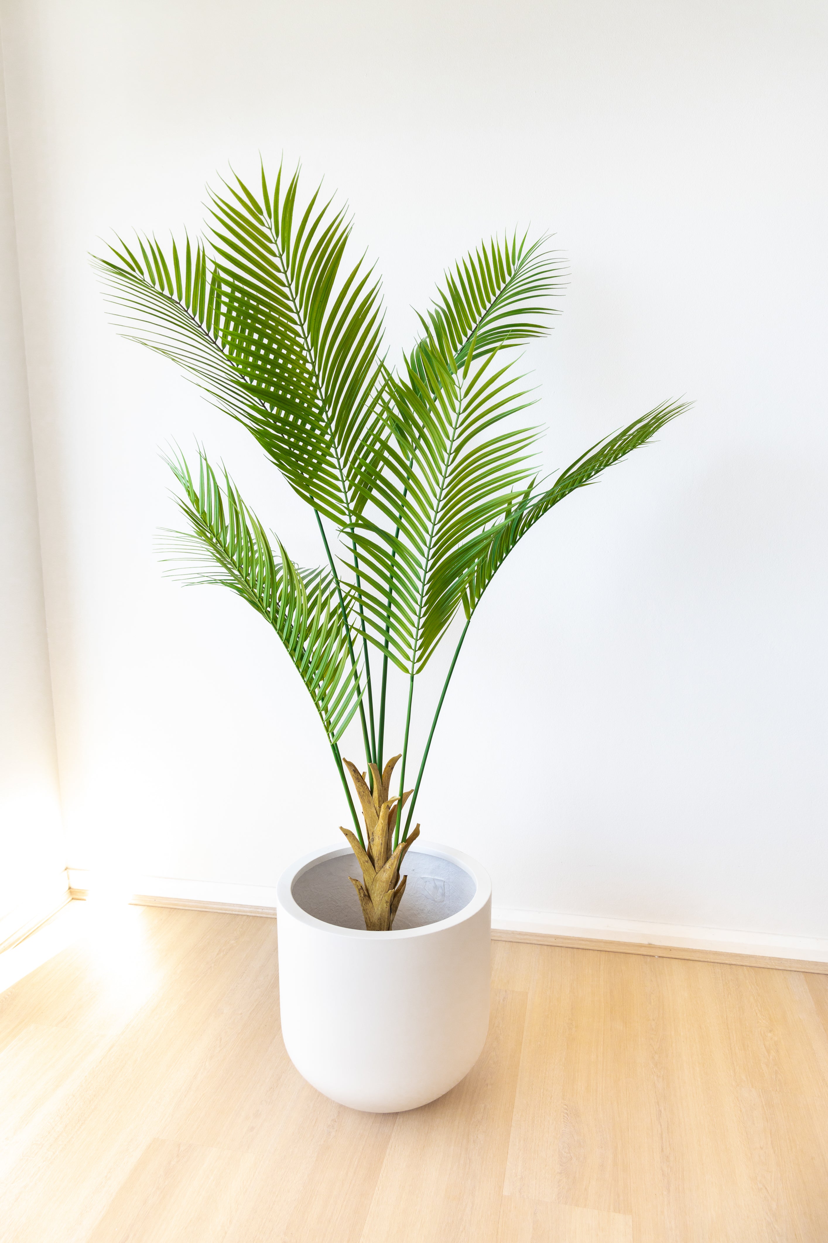 181cm Artificial Palm Tree