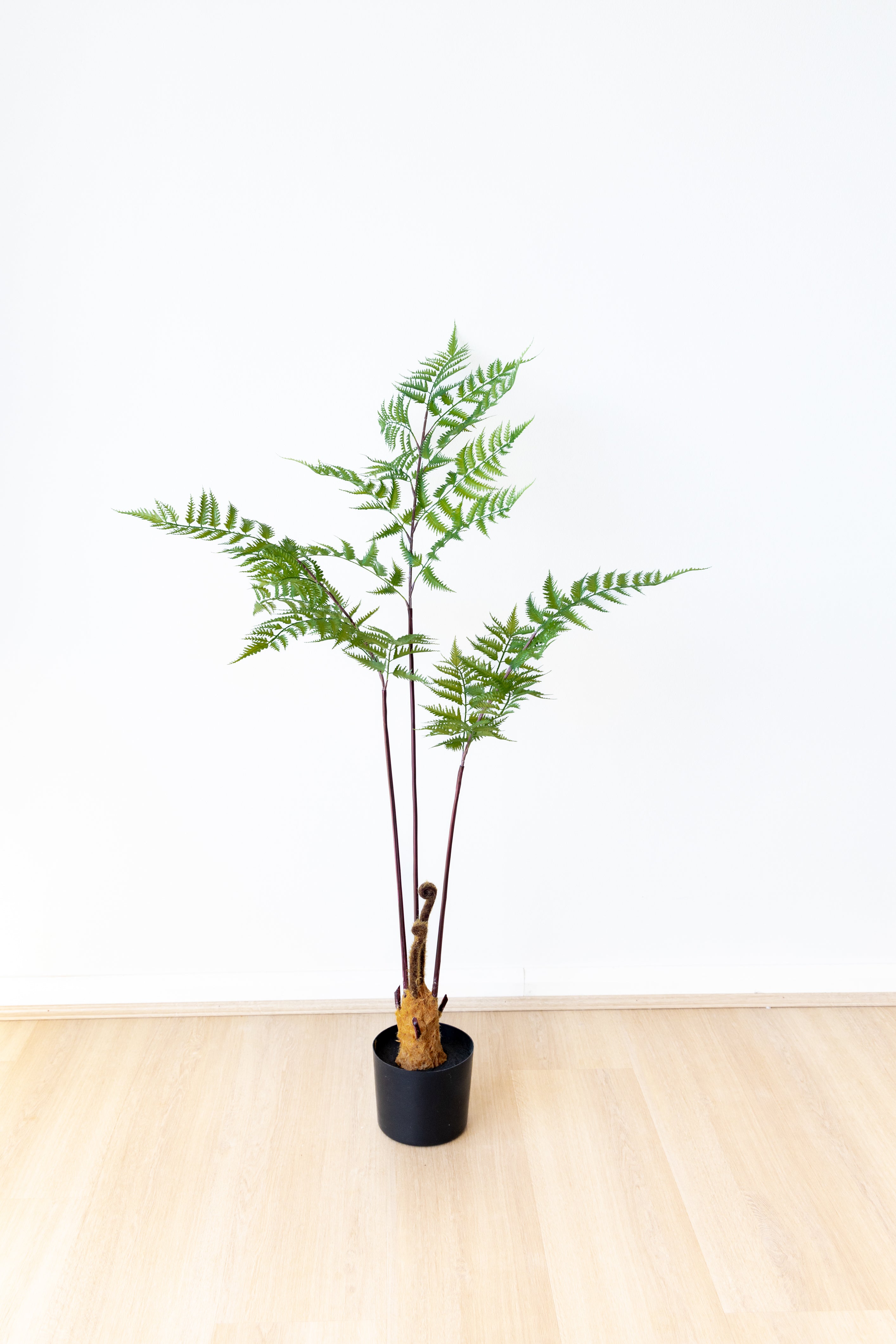 138cm Artificial Fern