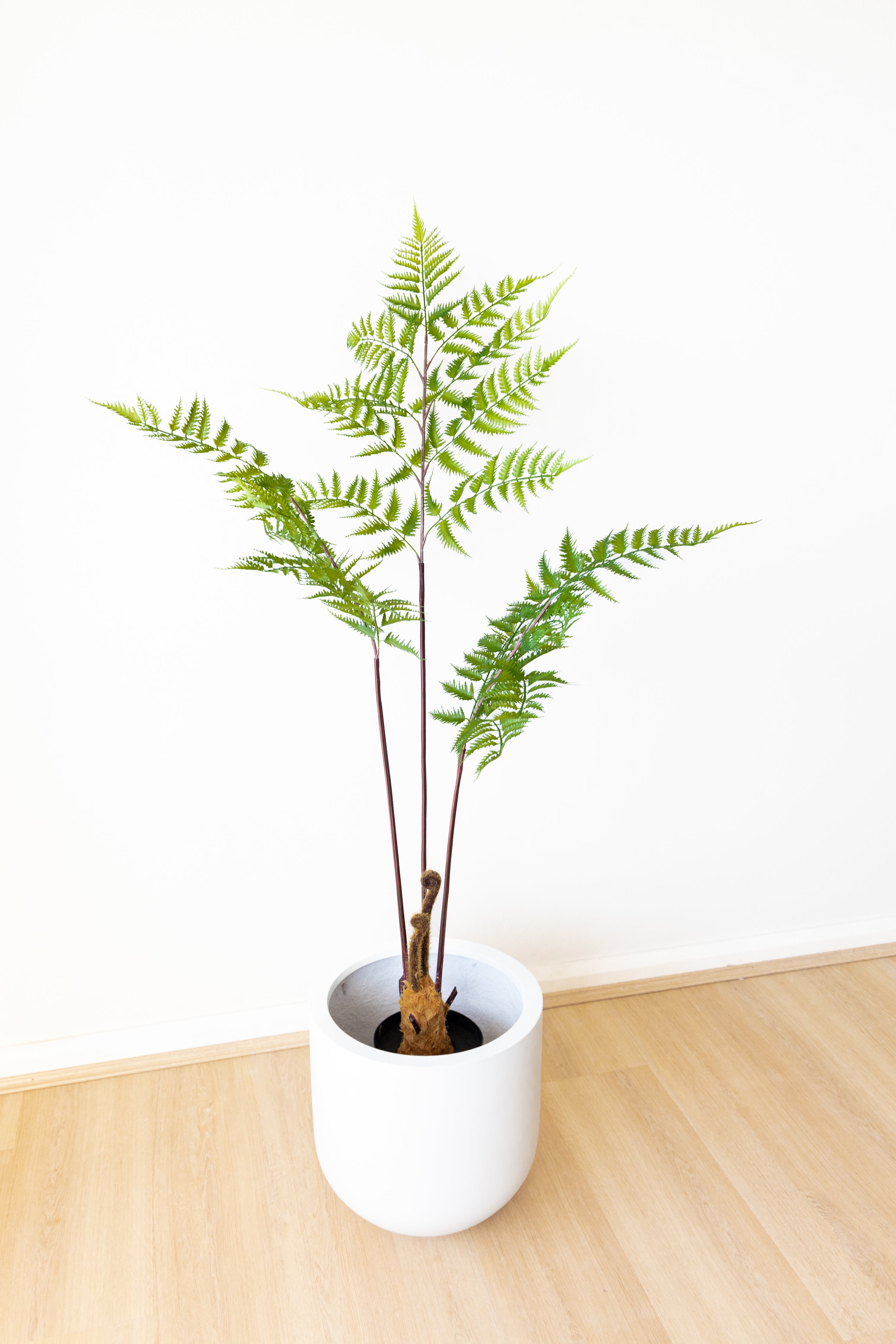 138cm Artificial Fern